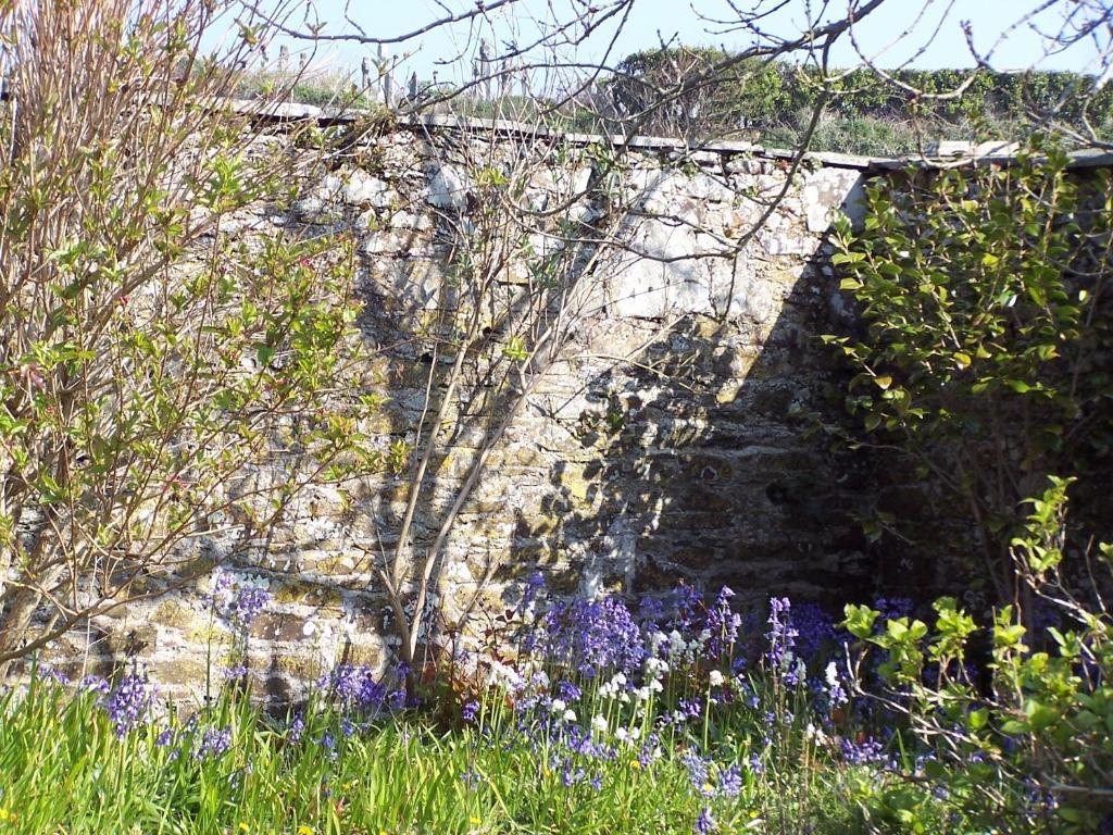 The Old Parsonage Bed and Breakfast Boscastle Εξωτερικό φωτογραφία