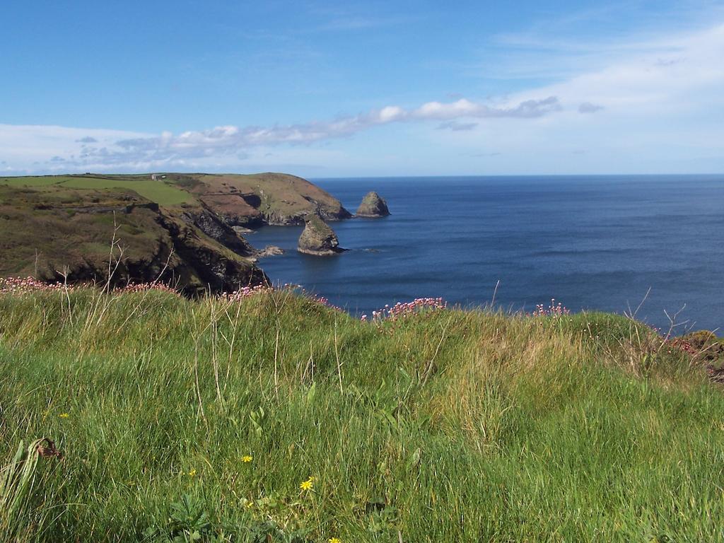 The Old Parsonage Bed and Breakfast Boscastle Εξωτερικό φωτογραφία