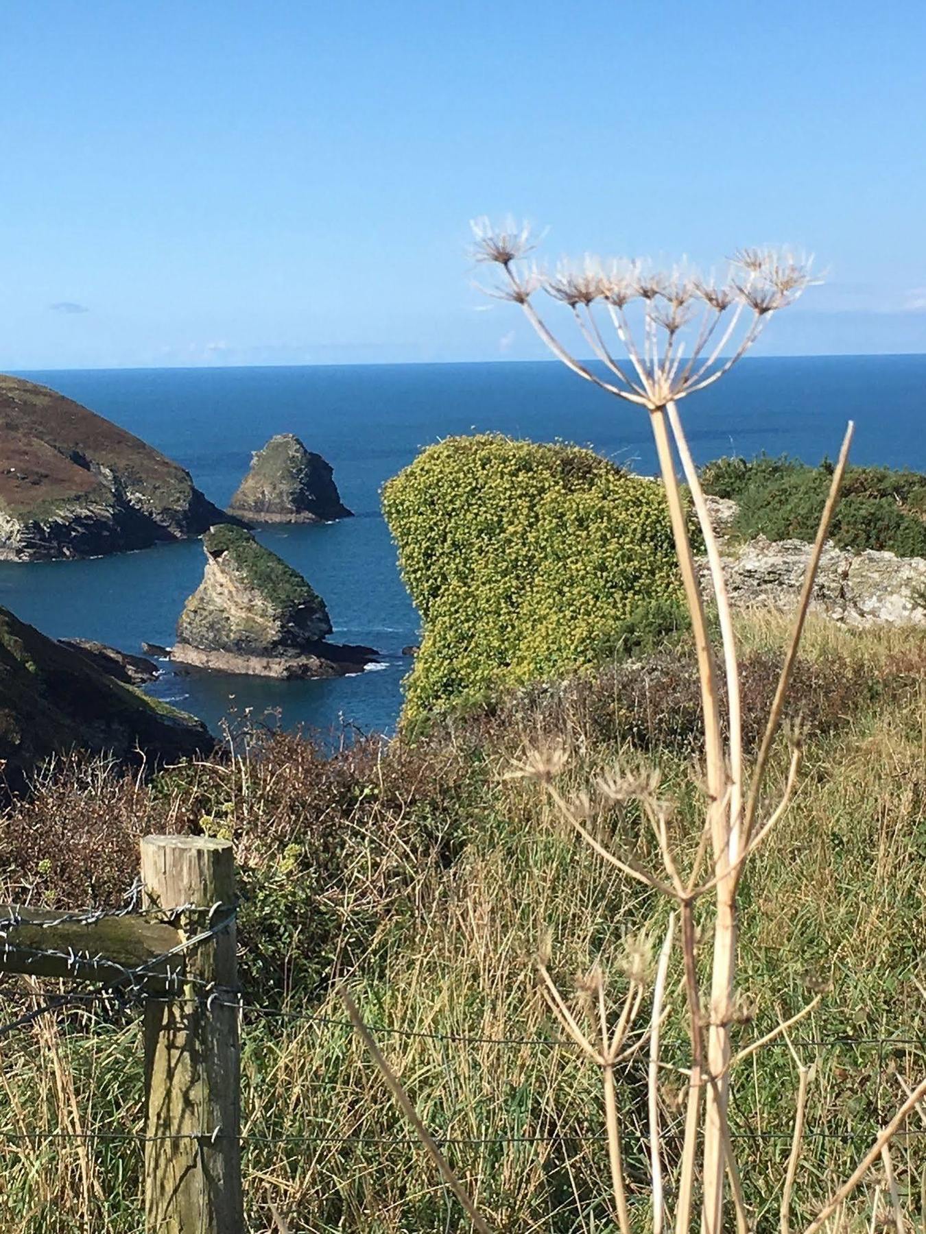 The Old Parsonage Bed and Breakfast Boscastle Εξωτερικό φωτογραφία